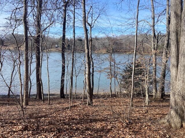 Lot 11 Waterway Pointe Point Goodview, VA 24095 - Photo 15 of 15 a backyard of a house