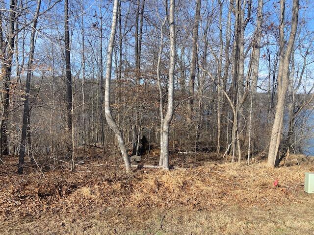 Lot 11 Waterway Pointe Point Goodview, VA 24095 - Photo 3 of 15 a backyard of a house with lots of green space