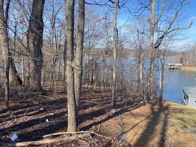 Lot 11 Waterway Pointe Point Goodview, VA 24095 - Photo 4 of 15 a view of a forest filled with trees