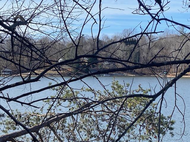 Lot 11 Waterway Pointe Point Goodview, VA 24095 - Photo 10 of 15 a view of a backyard with a tree