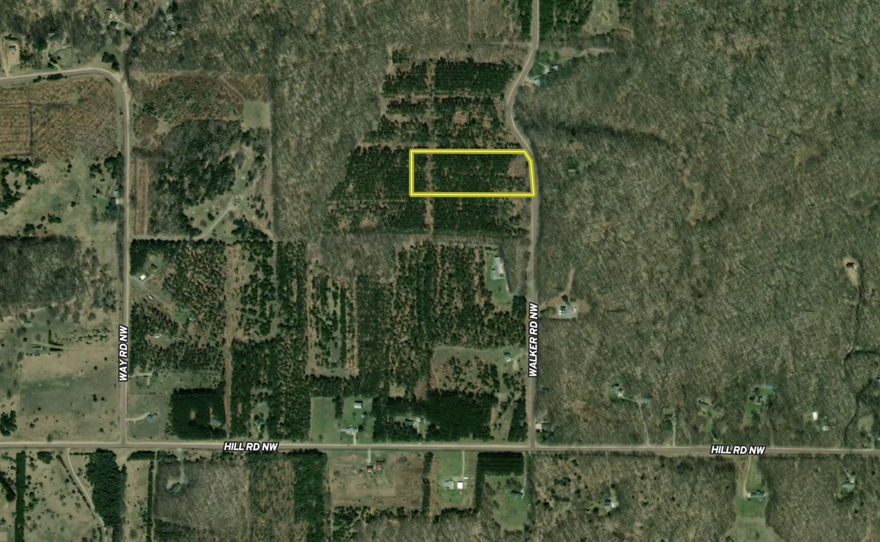 Walker Rd Rapid Rapid City, MI 49676 - Photo 14 of 15