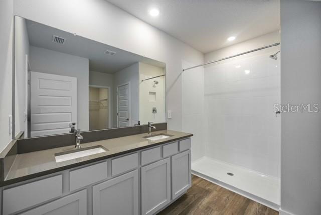 3703 Hatchery Way Lakewood Ranch, FL 34211 - Photo 17 of 35 a bathroom with double sink and a mirror