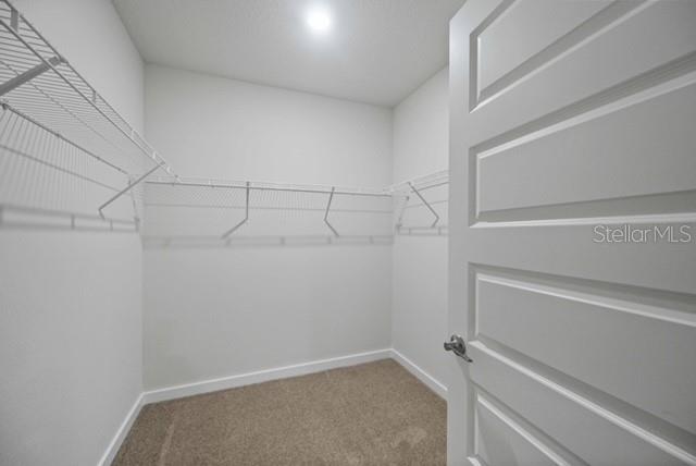 3703 Hatchery Way Lakewood Ranch, FL 34211 - Photo 19 of 35 a view of a room with racks on the wall