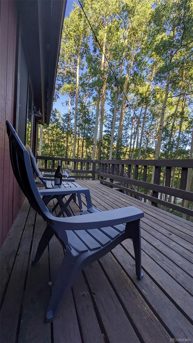 288 Roberts Road Alma, CO 80420 - Photo 14 of 24