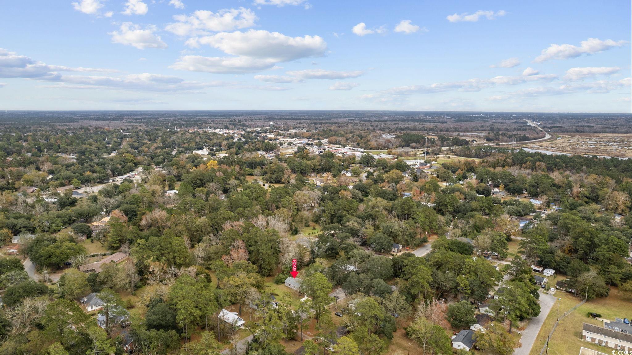 710 Hill Street Conway, SC 29527 - Photo 29 of 30