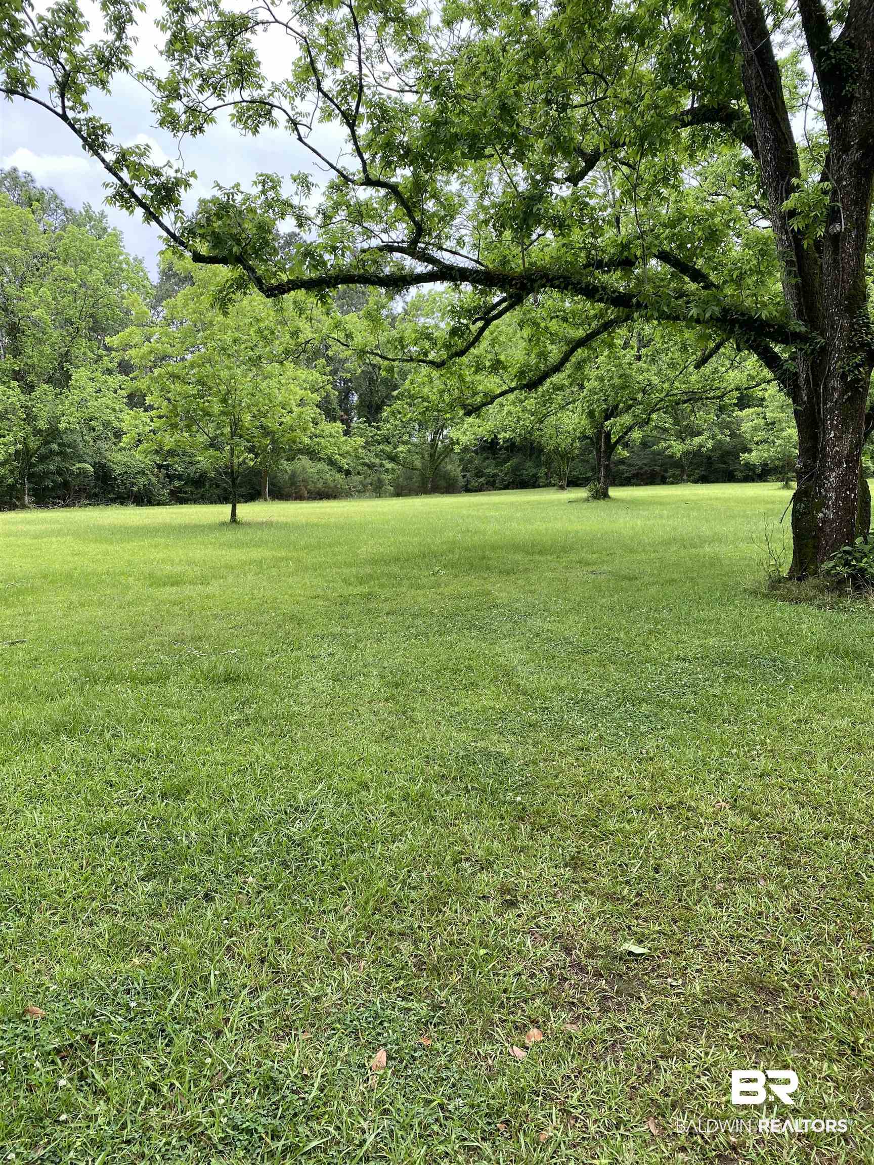 0 Old Mobile Road Daphne, AL 36527 - Photo 4 of 9 View of green lawn