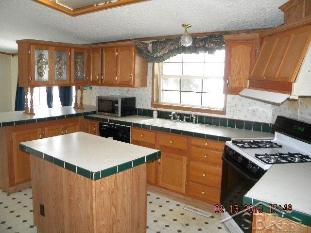 5940 West Freeland Road Freeland, MI 48623 - Photo 4 of 14 31232655-3.JPG
