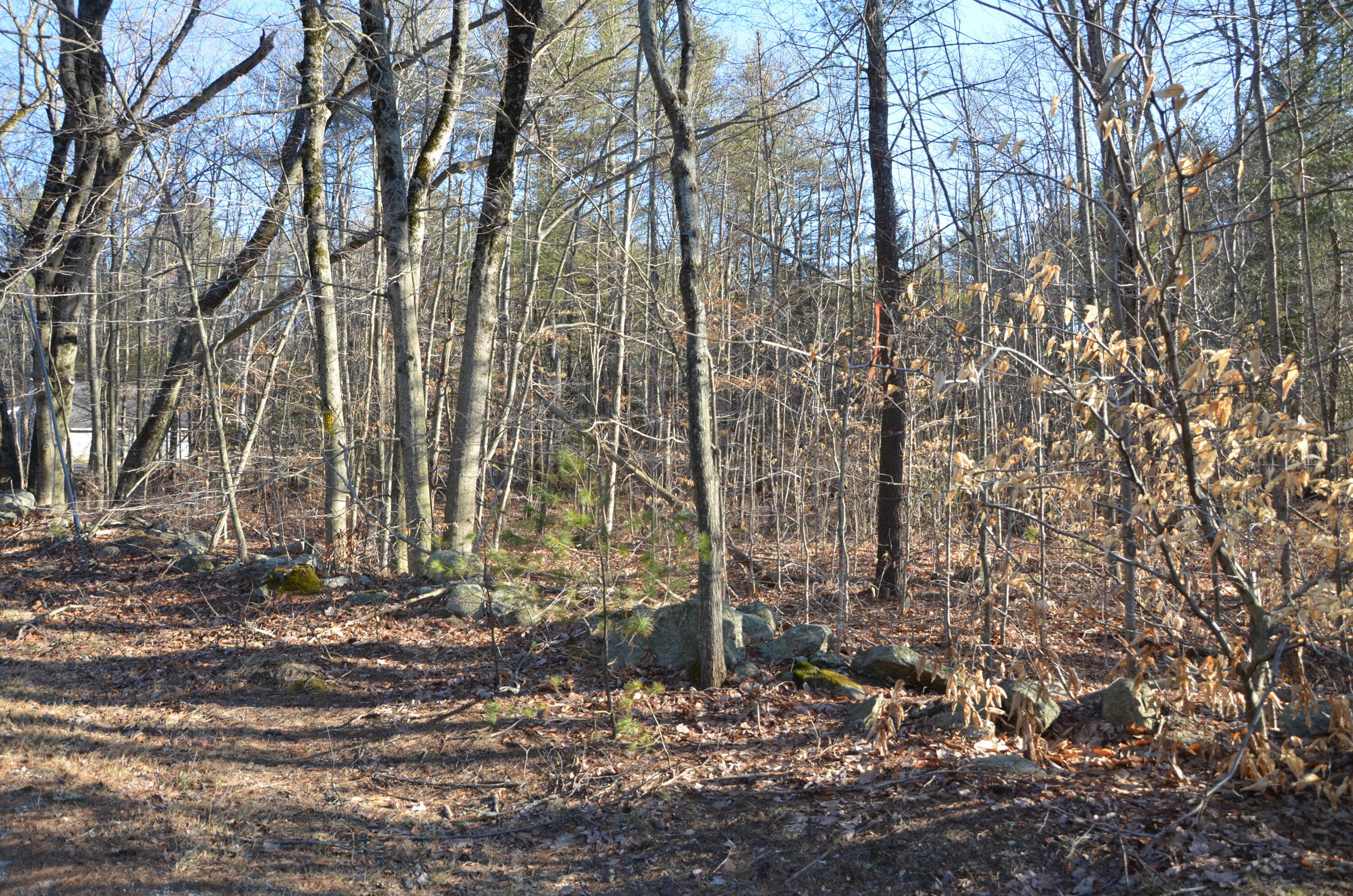 0 Babbidge Road Falmouth, ME 04105 - Photo 2 of 4 DSC_3120