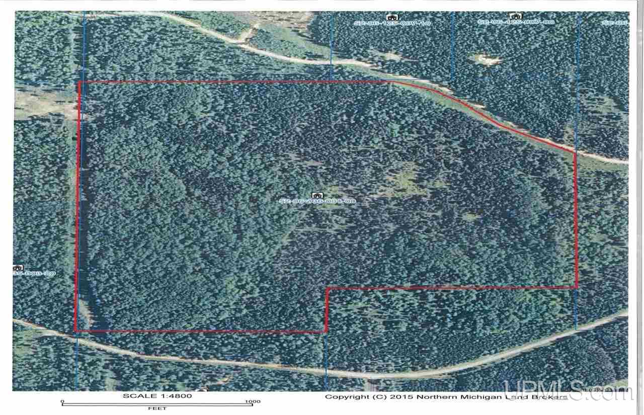 143-acres County Rd FF Republic, MI 49879 - Photo 17 of 18