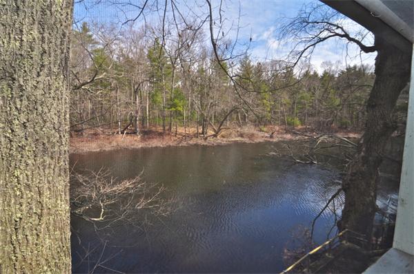 9 River Road Norfolk, MA 02056 - Photo 3 of 13 Gallery Image 3