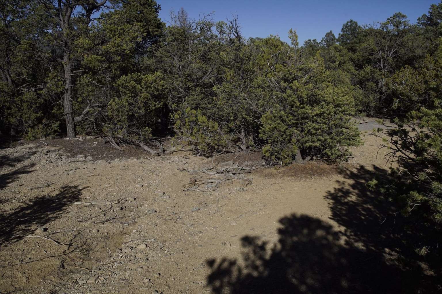 0 Pinon Ridge Road Pecos, NM 87552 - Photo 24 of 39