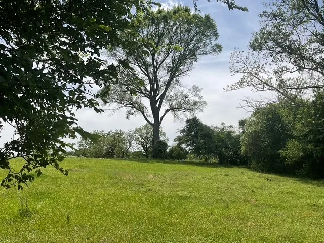 $1,659,500 | 0 Riverside Plantation Lane, Chappell Hill, TX 77426