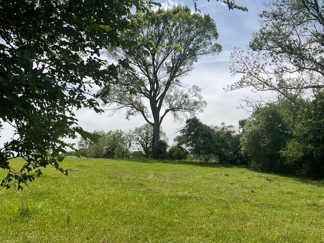 0 Riverside Plantation Lane Chappell Hill, TX 77426 - Photo 1 of 20