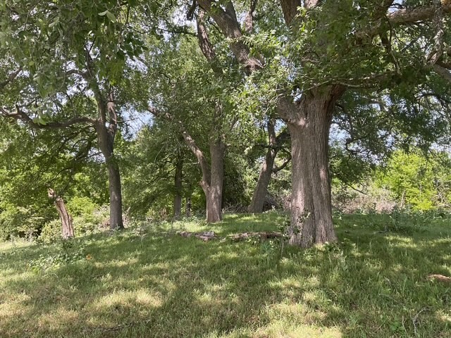 0 Riverside Plantation Lane Chappell Hill, TX 77426 - Photo 11 of 20
