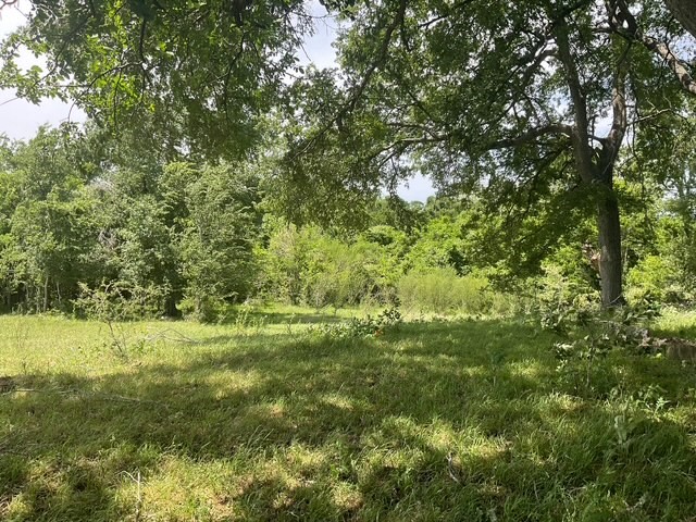 0 Riverside Plantation Lane Chappell Hill, TX 77426 - Photo 12 of 20