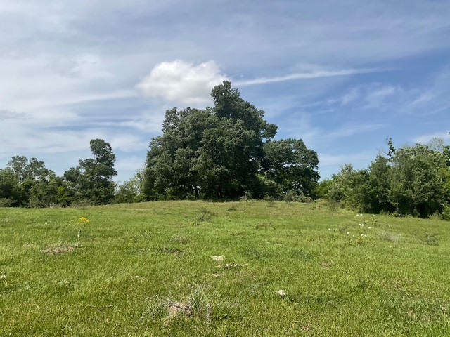 0 Riverside Plantation Lane Chappell Hill, TX 77426 - Photo 13 of 20