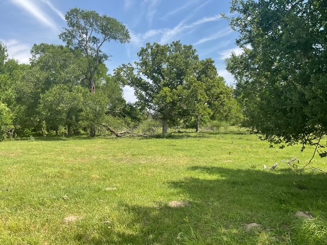 0 Riverside Plantation Lane Chappell Hill, TX 77426 - Photo 14 of 20