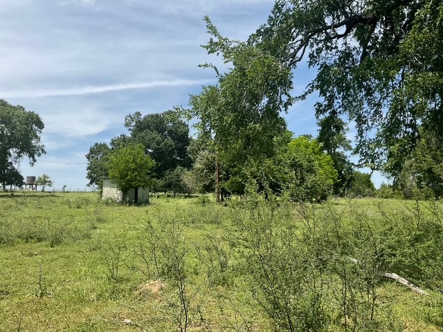 0 Riverside Plantation Lane Chappell Hill, TX 77426 - Photo 15 of 20