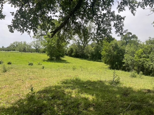 0 Riverside Plantation Lane Chappell Hill, TX 77426 - Photo 16 of 20