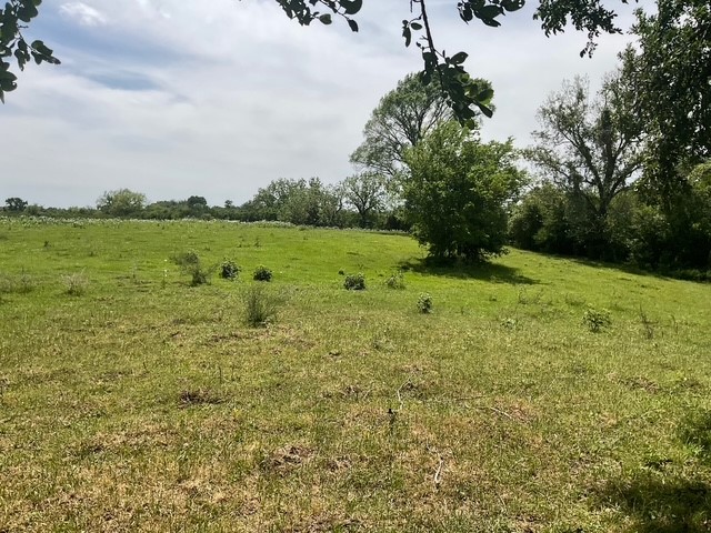 0 Riverside Plantation Lane Chappell Hill, TX 77426 - Photo 17 of 20