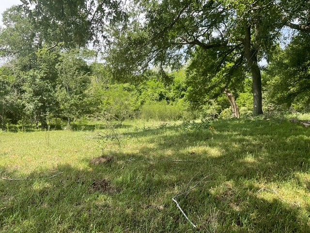 0 Riverside Plantation Lane Chappell Hill, TX 77426 - Photo 18 of 20