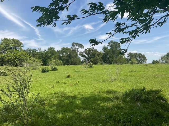 0 Riverside Plantation Lane Chappell Hill, TX 77426 - Photo 20 of 20