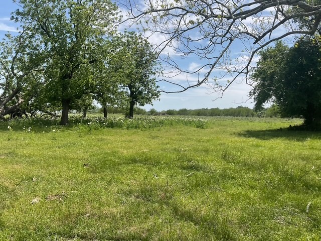 0 Riverside Plantation Lane Chappell Hill, TX 77426 - Photo 3 of 20