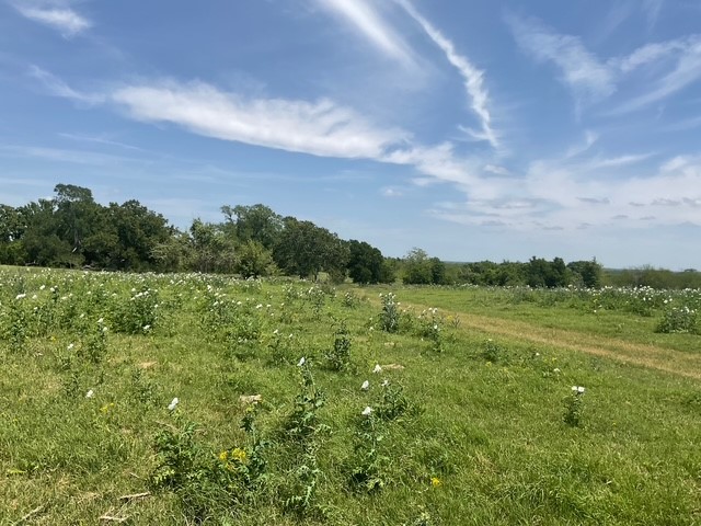 0 Riverside Plantation Lane Chappell Hill, TX 77426 - Photo 8 of 20
