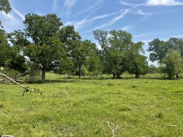 0 Riverside Plantation Lane Chappell Hill, TX 77426 - Photo 10 of 20