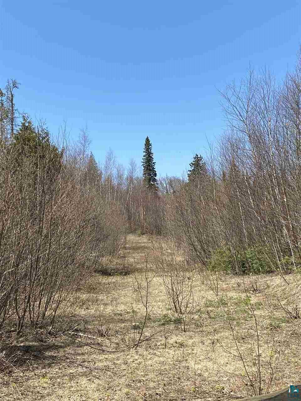 Xx Gods Wilderness Road Silver Bay, MN 55614 - Photo 2 of 10 Gallery Image 2