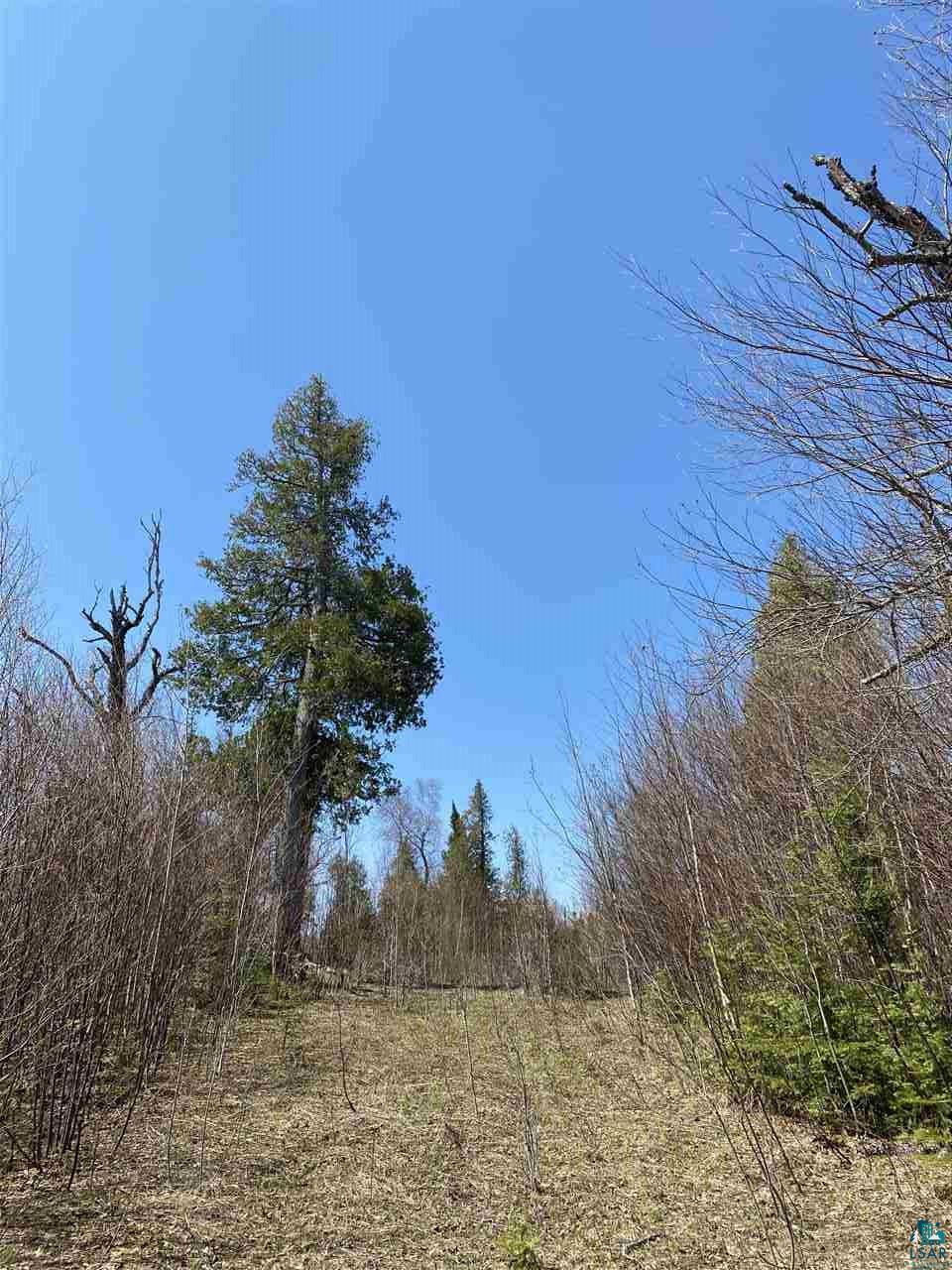 Xx Gods Wilderness Road Silver Bay, MN 55614 - Photo 7 of 10 Gallery Image 7