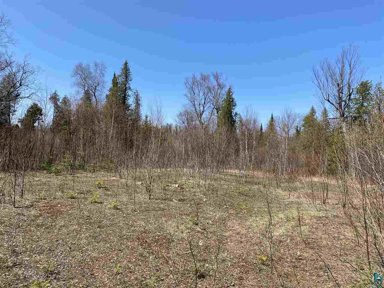 Xx Gods Wilderness Road Silver Bay, MN 55614 - Photo 8 of 10 Gallery Image 8