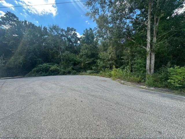 a view of a field with trees in background