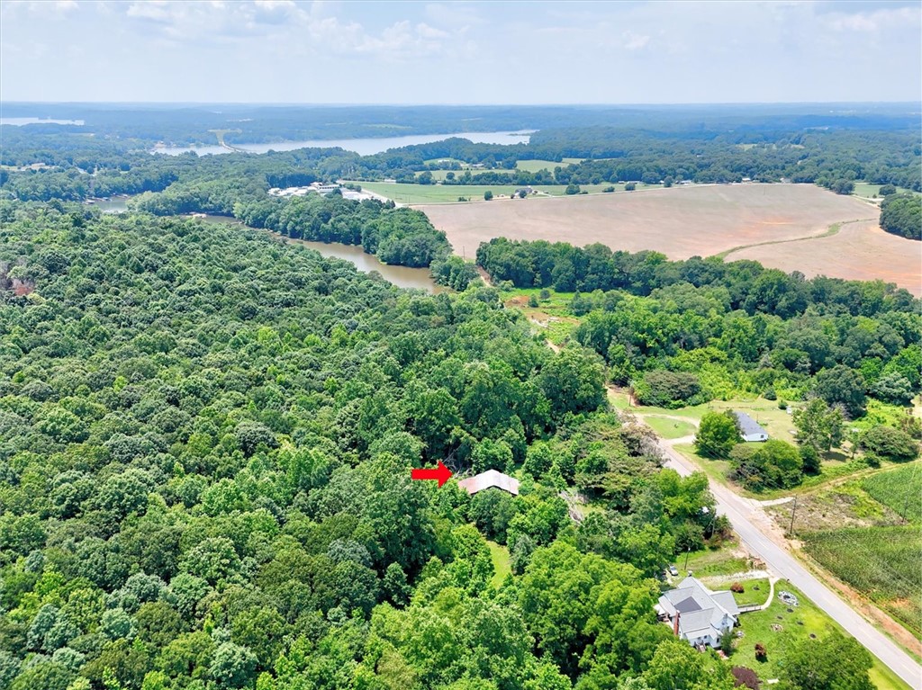 2349 Old Dobbins Bridge Road Townville, SC 29689 - Photo 12 of 17