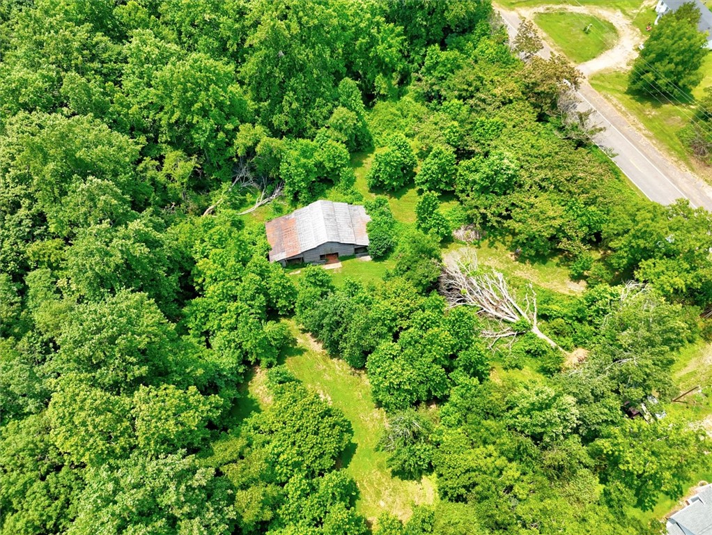 2349 Old Dobbins Bridge Road Townville, SC 29689 - Photo 13 of 17