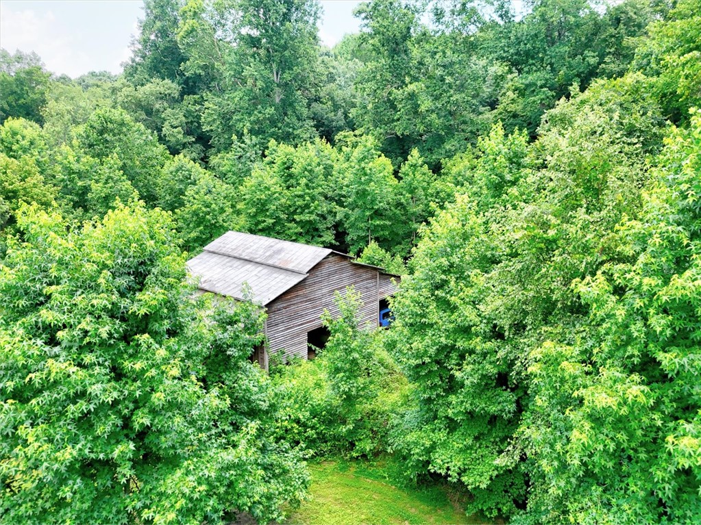 2349 Old Dobbins Bridge Road Townville, SC 29689 - Photo 16 of 17