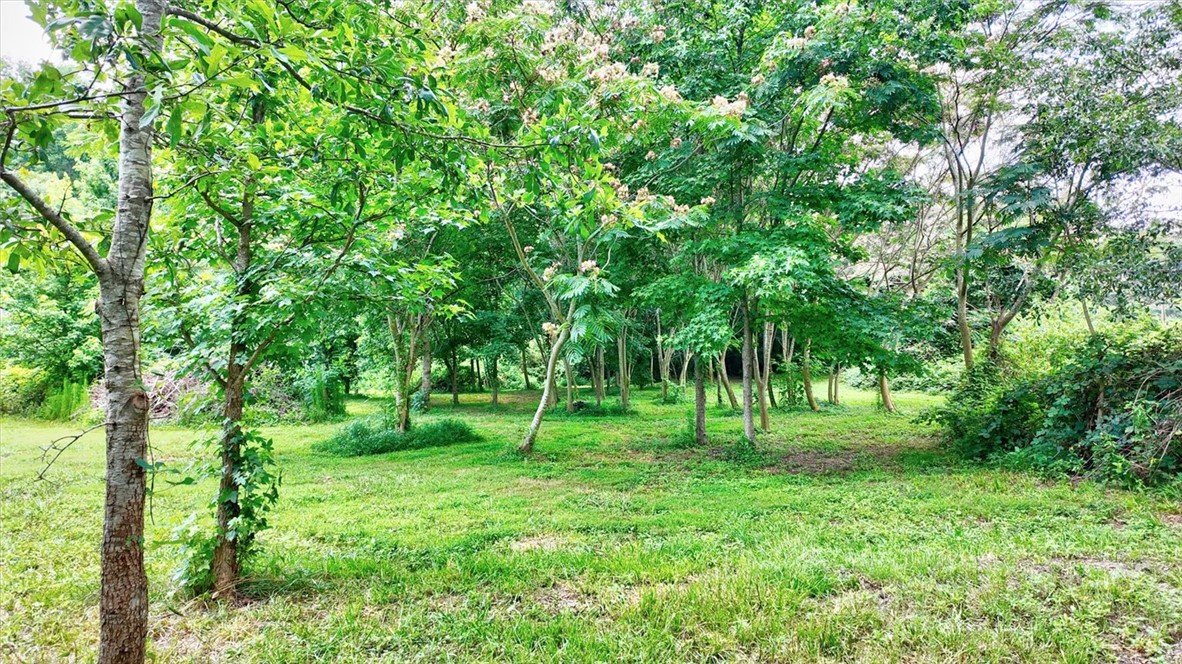 2349 Old Dobbins Bridge Road Townville, SC 29689 - Photo 4 of 17