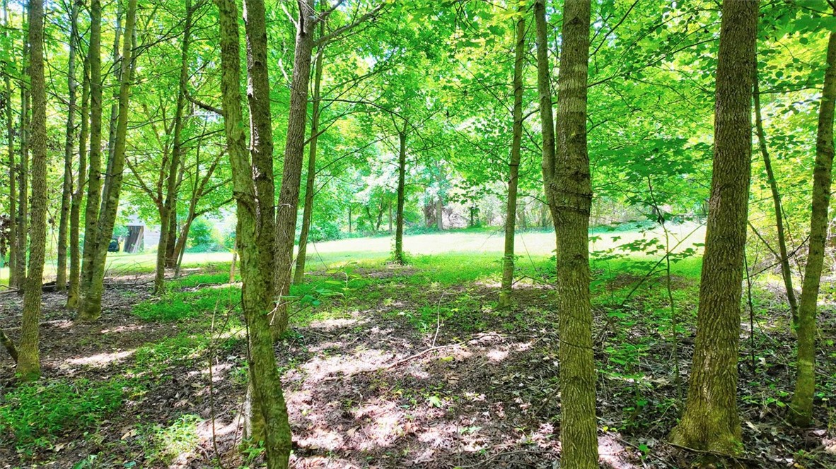 2349 Old Dobbins Bridge Road Townville, SC 29689 - Photo 8 of 17