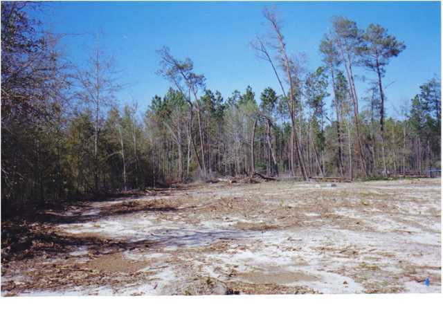 3100 Spring Lake Road DeFuniak Springs, FL 32433 - Photo 5 of 5 Additional Photo
