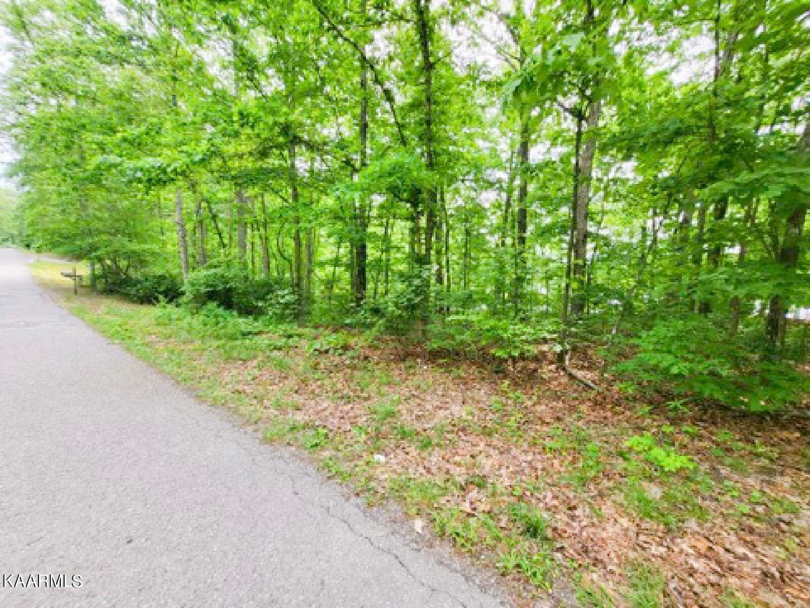 Fawn Circle Dunlap, TN 37327 - Photo 5 of 6 00004