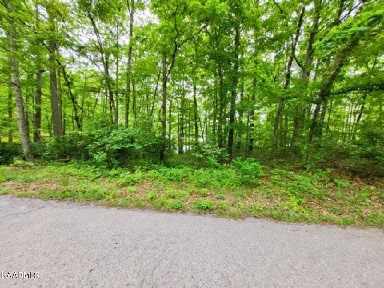 Fawn Circle Dunlap, TN 37327 - Photo 6 of 6 00005