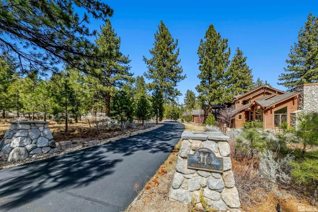 a view of a yard with plants and trees