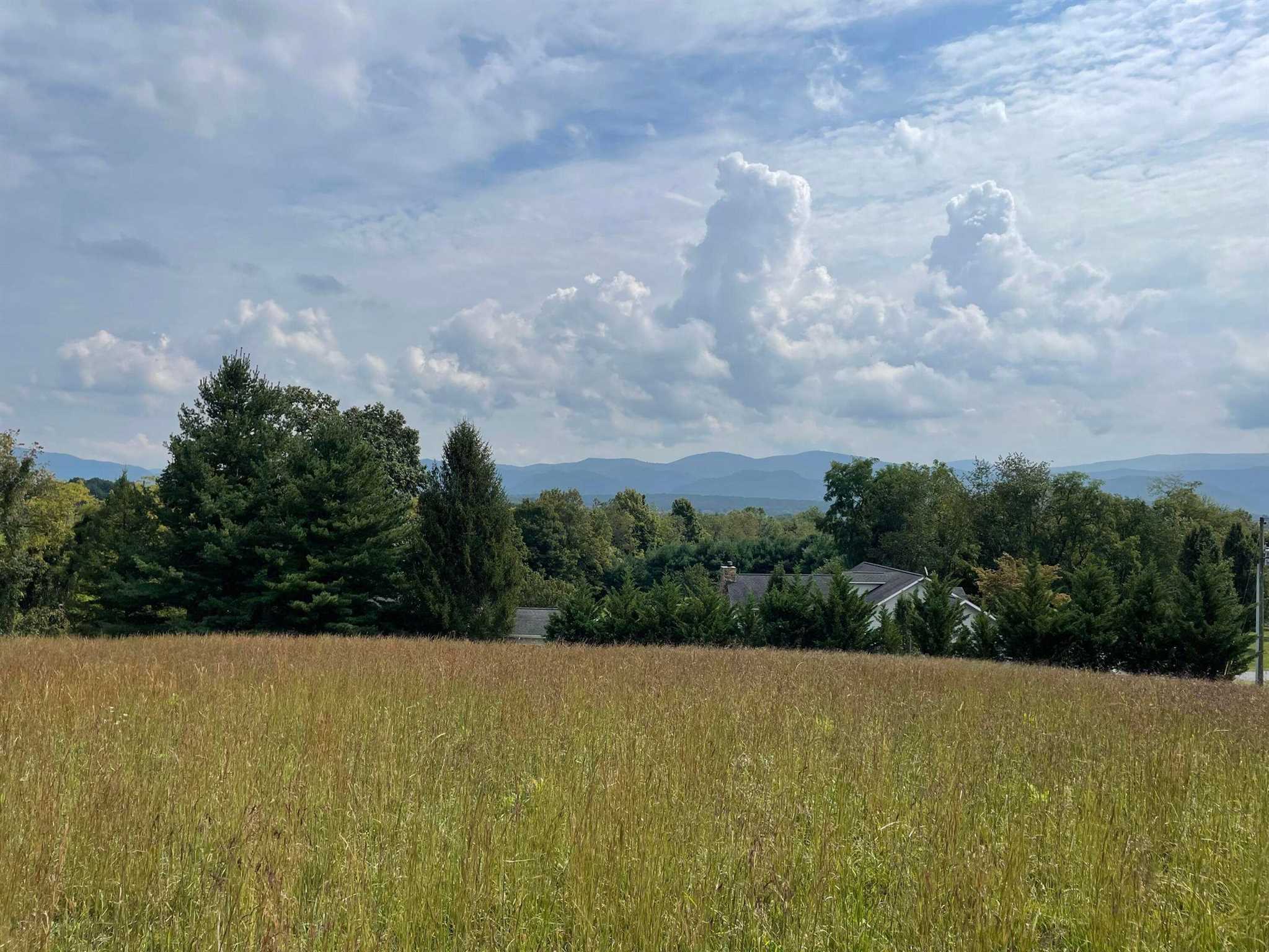 East View Lane Raphine, VA 24472 - Photo 1 of 3 a view of a yard