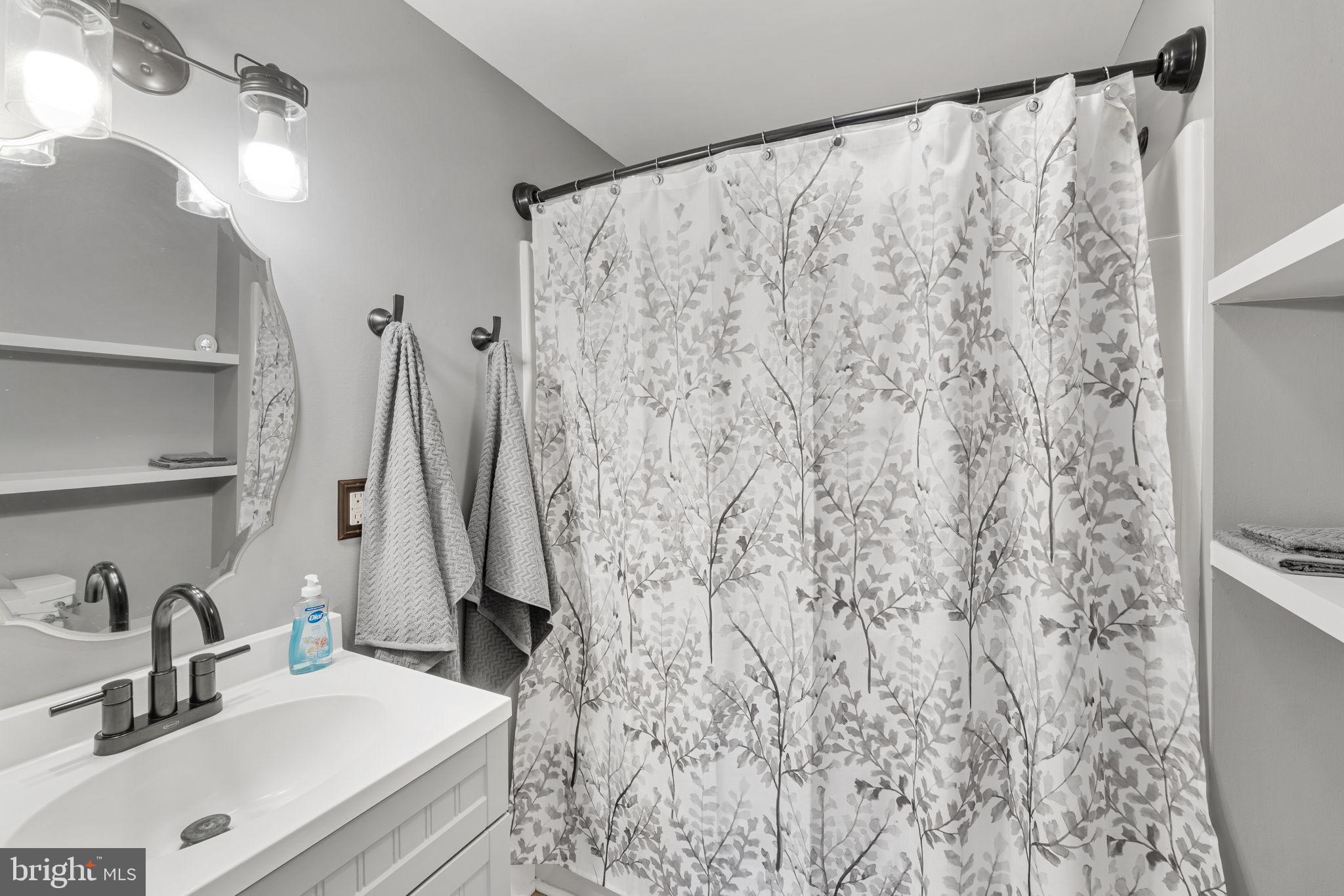 20455 Monrovia Road Orange, VA 22960 - Photo 15 of 41 a bathroom with a sink and a mirror