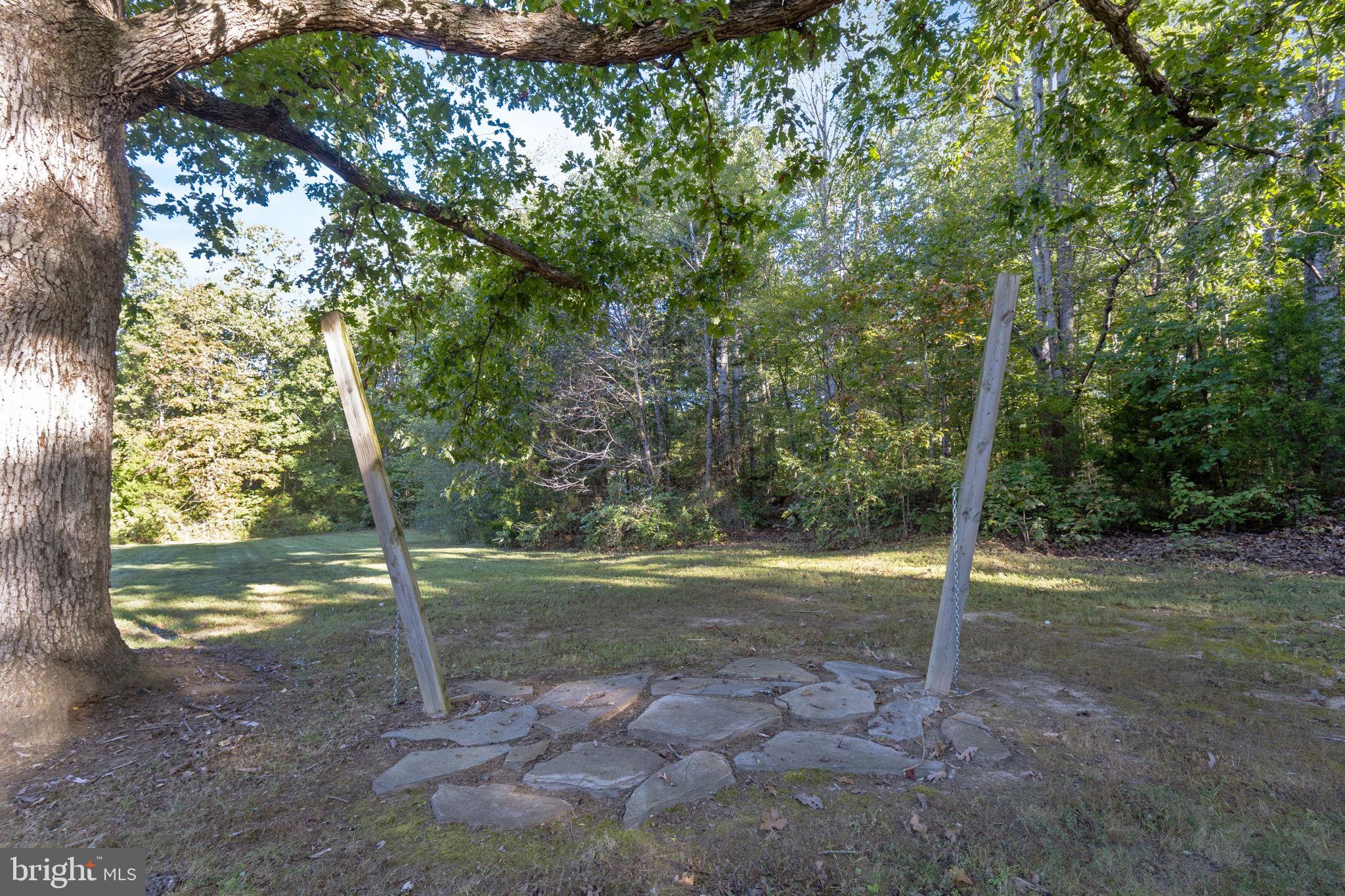 20455 Monrovia Road Orange, VA 22960 - Photo 24 of 41 a backyard of a house with a trees