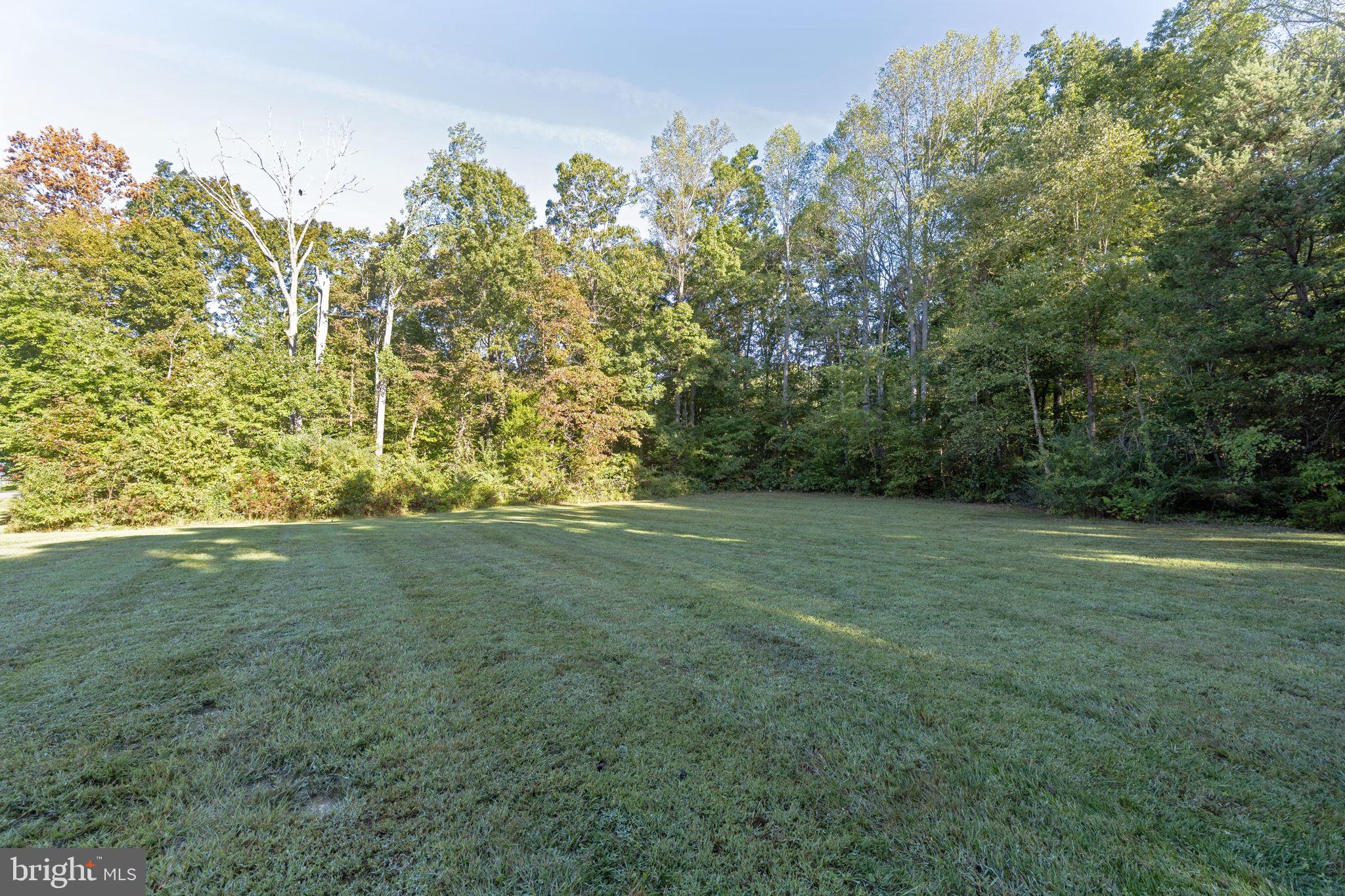 20455 Monrovia Road Orange, VA 22960 - Photo 27 of 41 a view of a field with an trees