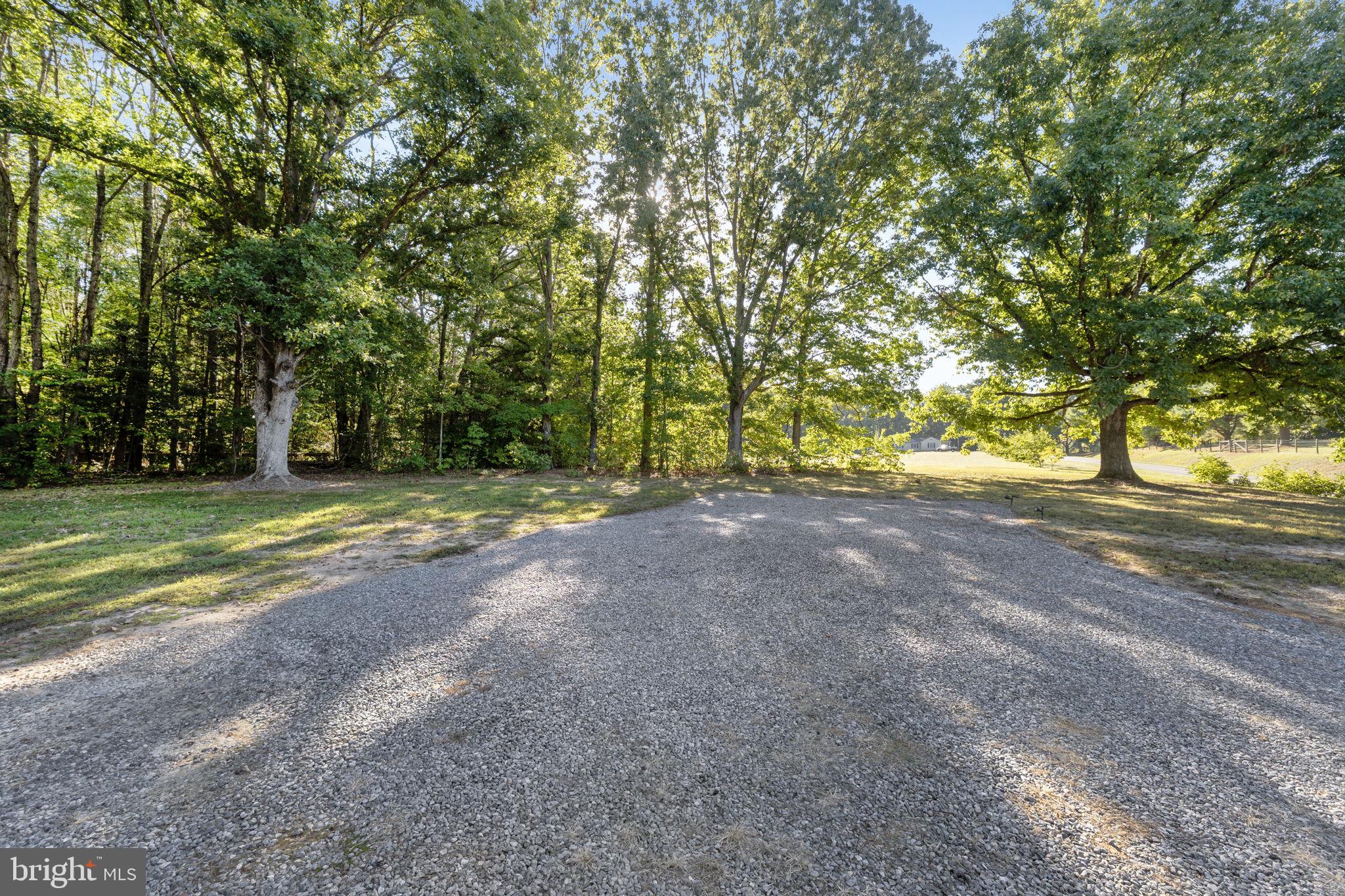 20455 Monrovia Road Orange, VA 22960 - Photo 30 of 41 a view of a yard with a tree