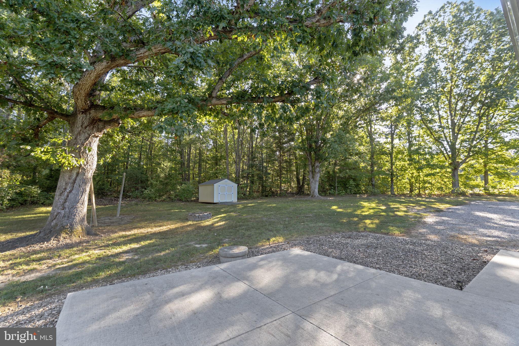 20455 Monrovia Road Orange, VA 22960 - Photo 32 of 41 a view of a yard with a tree