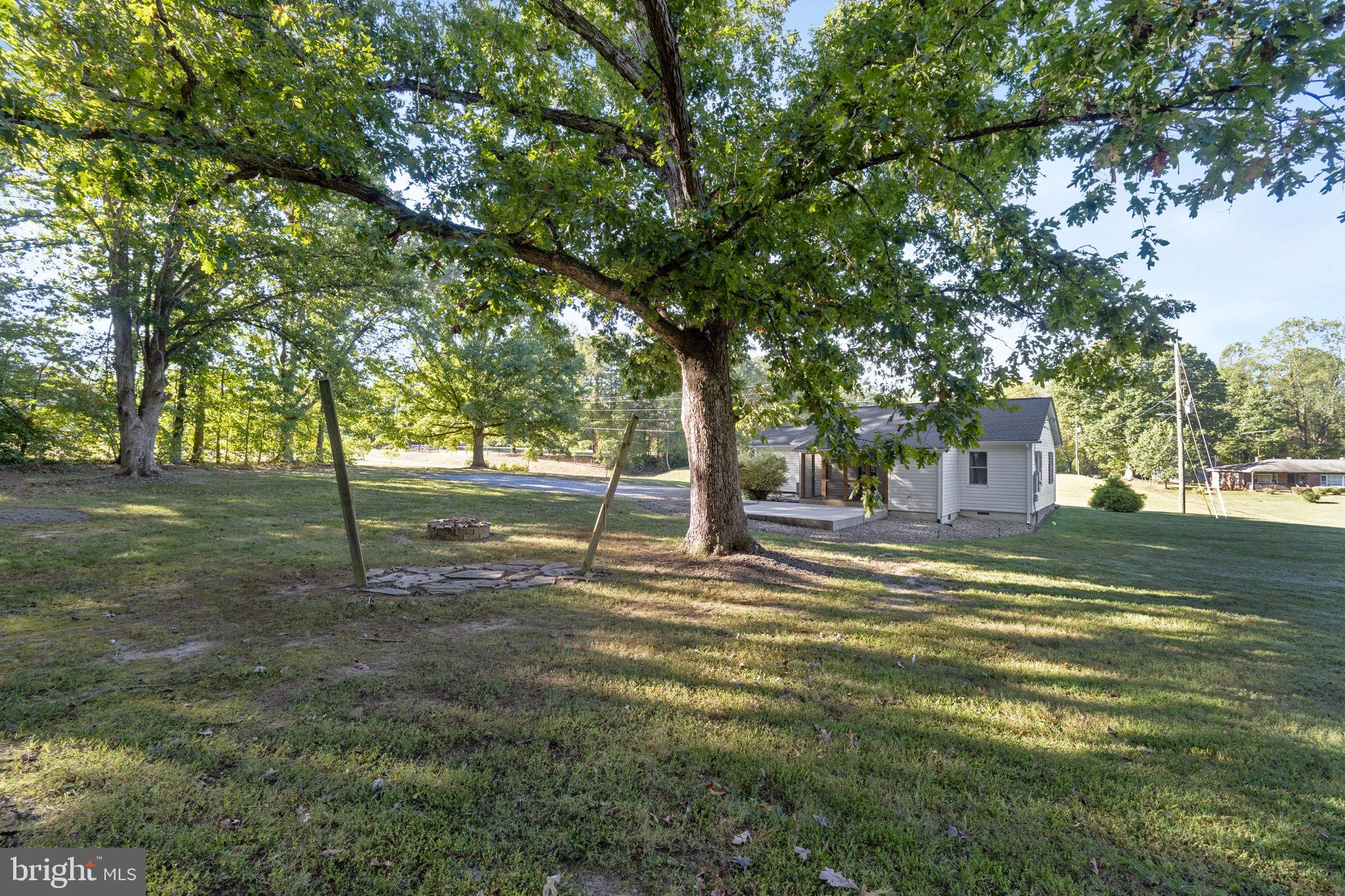 20455 Monrovia Road Orange, VA 22960 - Photo 37 of 41 a view of a trees in a yard