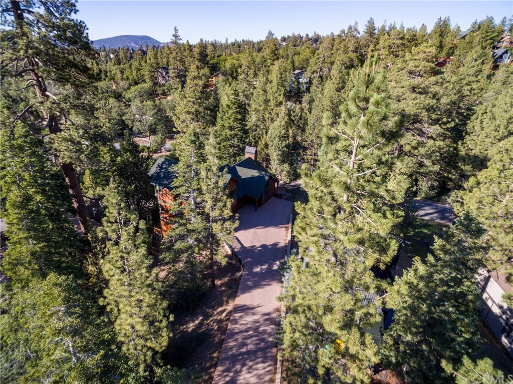 43490 Primrose Drive Big Bear Lake, CA 92315 - Photo 66 of 69